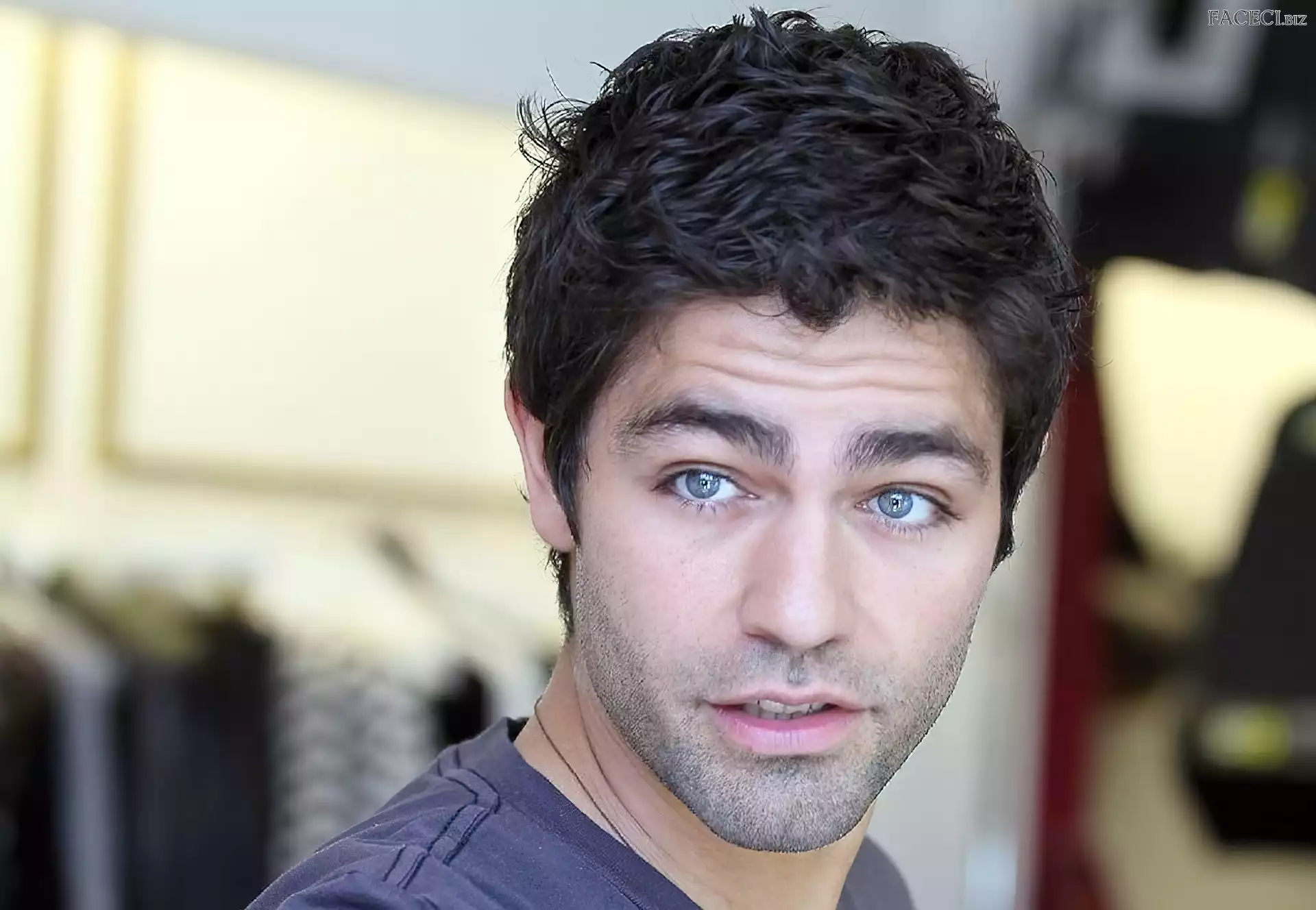 Adrian Grenier, Aktor